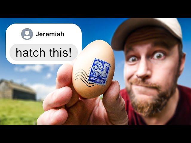 Viewer Sends Us Extremely Rare Hatching Eggs