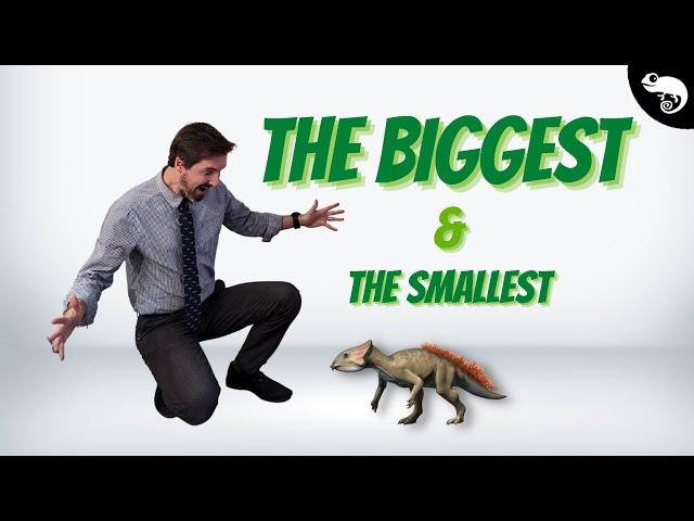 The BIGGEST and the SMALLEST DINOSAURS from EVERY GROUP!