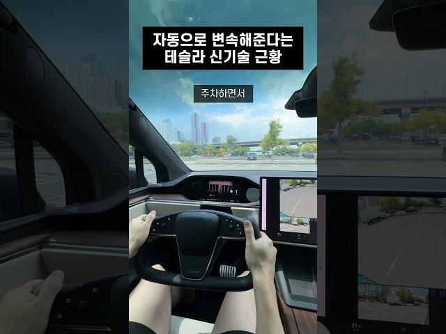 폼 미쳤다는 테슬라 최신 기능 드디어 써봤습니다