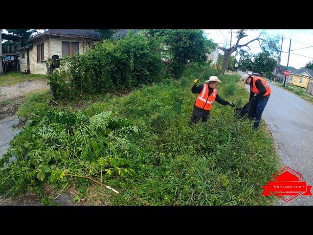 We TRANSFORMED This Lady’s Old CHILDHOOD Homes OVERGROWN Yard