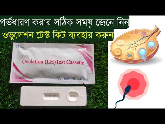 Ovulation test kit ব্যবহারের নিয়ম | How to test ovulation at home | Ovulation test kit use