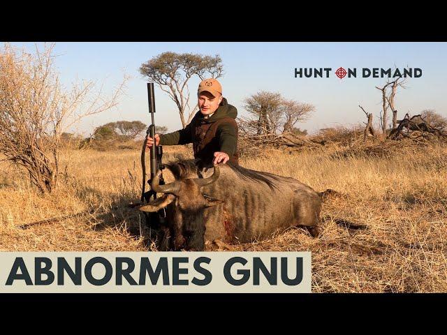 @jagdkrone in Namibia Otjiruze – Hunt on Demand Ausschnitte