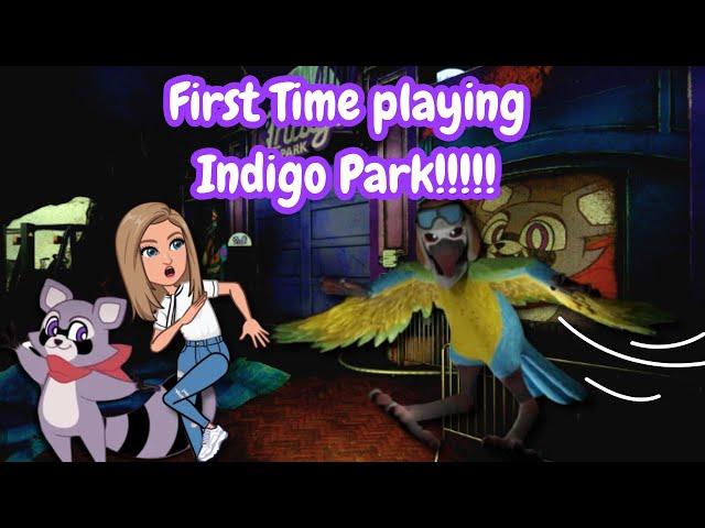 First time playing Indigo Park!!