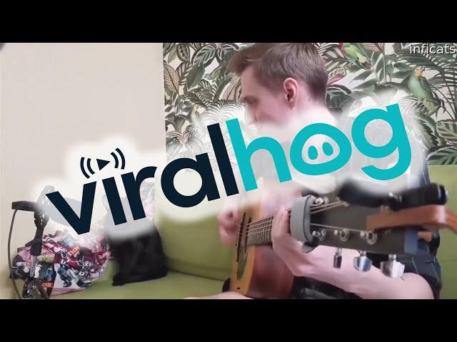 Cat Sings The Blues While Owner Plays Guitar || ViralHog