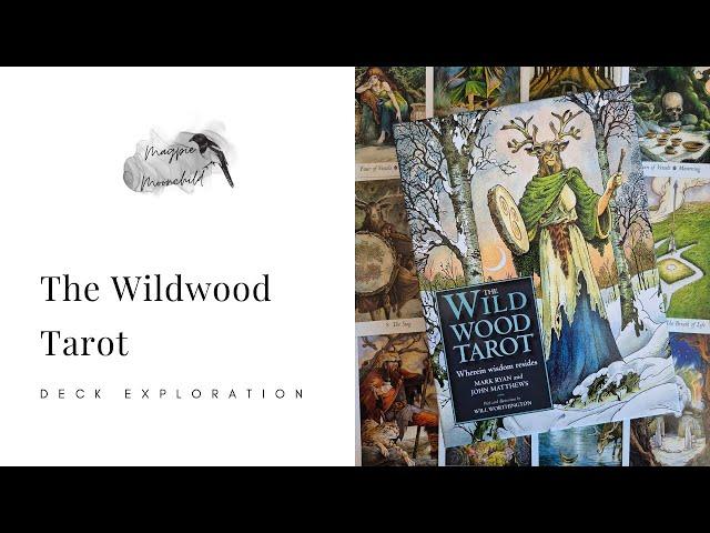Wildwood Tarot by Mark Ryan, John Matthews and Will Worthington - Deck Exploration