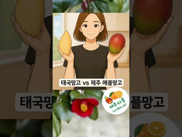 제주감귤농장 제주다움 제주애플망고&태국망고 010.8841.1187