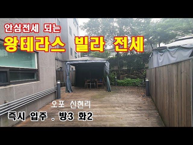 NO322[왕테라스 신현리 빌라전세]타운앤280 반련견 함깨 해요 공실 빠른 입주 매매는 3억4천 선택