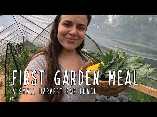 First Meal From The Garden - Small garden harvest