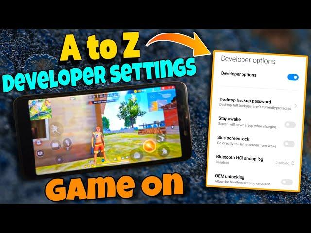 Developer Option Full Setting Free Fire Fix Lag