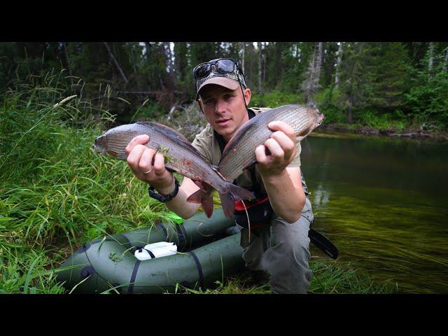 A HUGE FISH. THEY RARELY GET CAUGHT. FISHING IN THE WILD TAIGA.