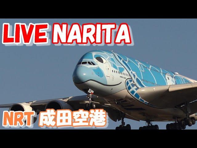 LIVE at NARITA International Airport Plane Spotting　2024.05.25　成田空港ライブカメラ 成田空港　NRT/RJAA