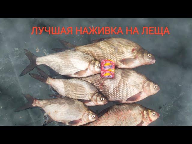 Вот это кабан!! Лучшая наживка на ЛЕЩА! Цимла-Цимлянское водохранилище.