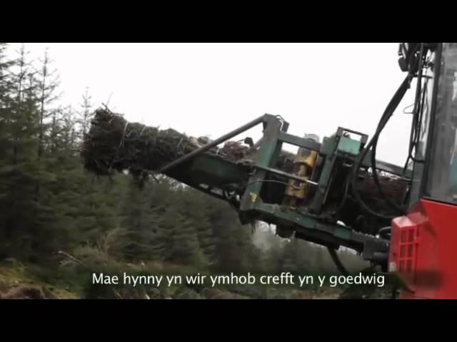 Careers in Forestry  Jamie Jukes, Managing Director, Spencer Environmental Care