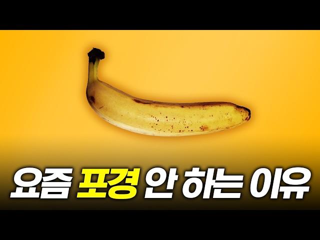 돈까스로는 어림도 없지