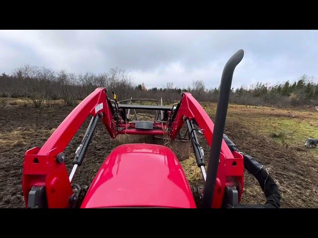 Moving the cows Home for Winter!