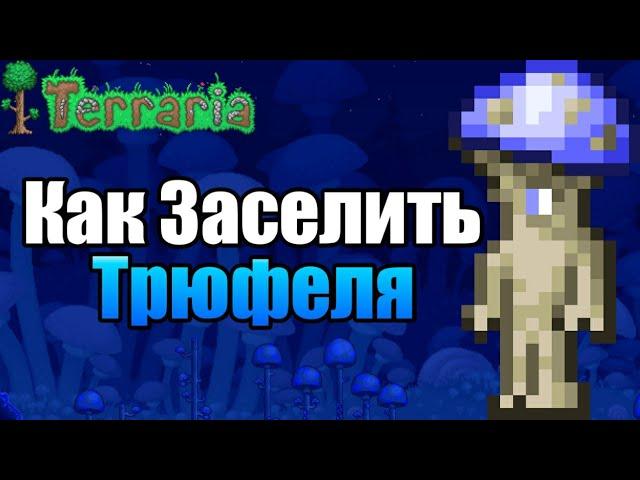 КАК ЗАСЕЛИТЬ ТРЮФЕЛЯ [Terraria] [1.4] [NPC] Террария Трюфель [Гайд]