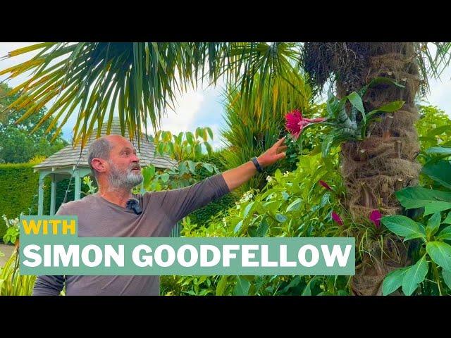 Growing Tropical Plants In A Northern Garden At Abbeywood Estate