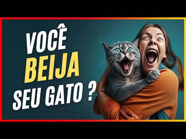 VOCÊ BEIJA SEU GATO | Saiba como os felinos entendem esse comportamento: Imperdível 