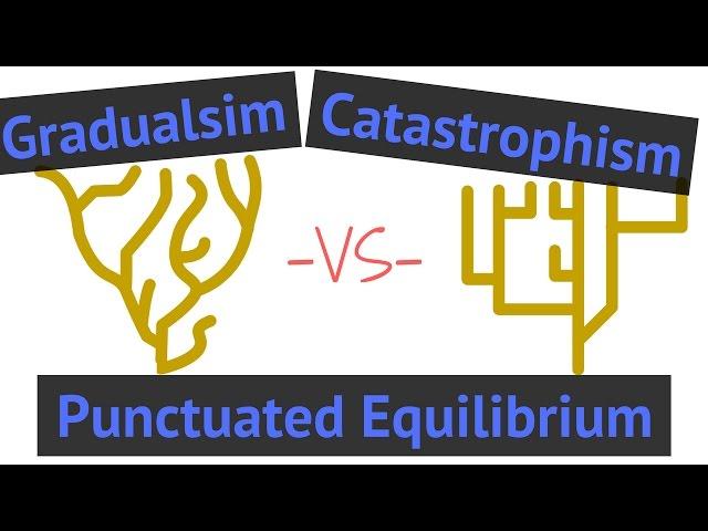 Process of Evolution | Gradualism vs Punctuated Equilibrium vs Catastrophism