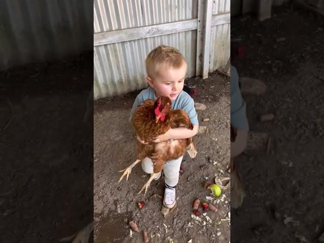 Quieros favorite joke! #shorts #newborn #cutebaby #parenting #chicken #funnyvideo