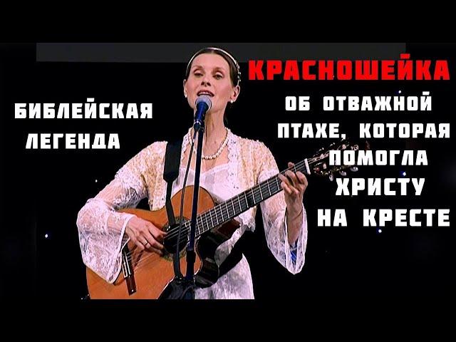 Библейская песня-легенда КРАСНОШЕЙКА. Автор-исполнитель  - Светлана Копылова. Душевная песня до слез