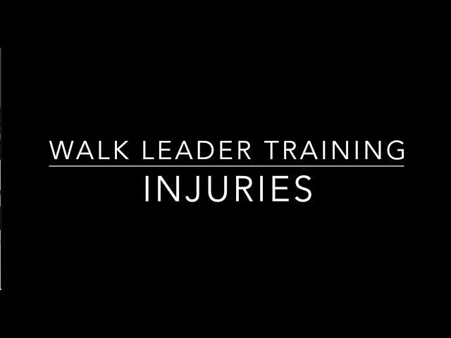 WSP -Injuries