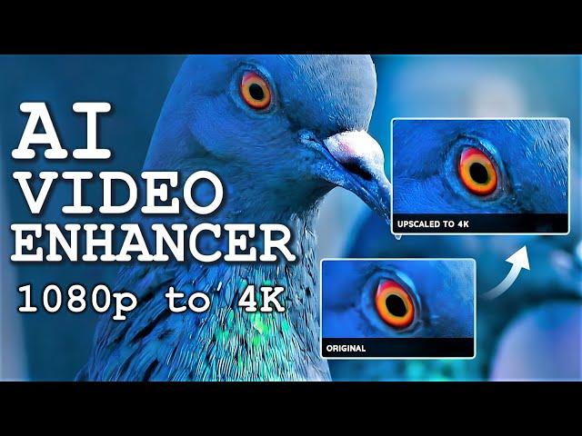 Transform Your Video Quality to 4K with AI Upscaling - AVCLabs Video Enhancer AI