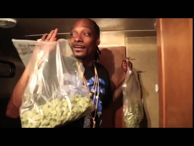 Снуп Догг с пакетами травы (Snoop Dogg sings with weed)