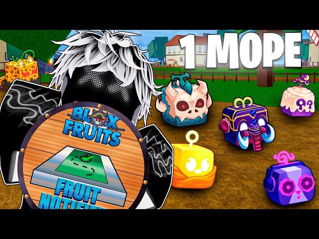  ИЩУ ФРУКТЫ ИСПОЛЬЗУЯ FRUIT NOTIFIER в 1 МОРЕ в БЛОКС ФРУТС / BLOX FRUIT Roblox