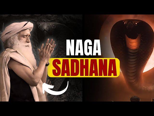 IN 7 DAYS | EXPERIENCE NAGAS GRACE THROUGH THIS INTENSE SADHNA