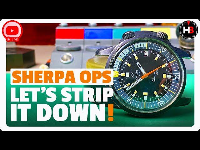 What will be found inside this Vintage Enicar Sherpa Ops Watch?