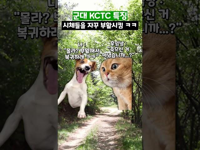 군대 KCTC 특징 #shorts #군대