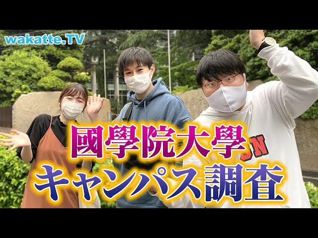 MARCHのすぐ下！國學院大學キャンパス調査！【wakatte TV】#555