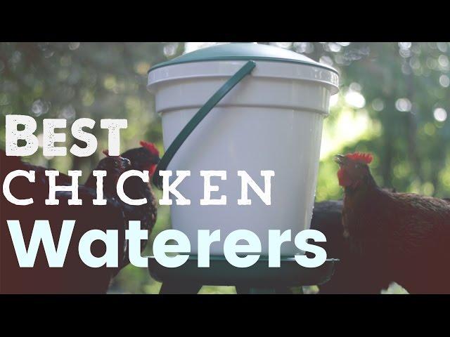 Chicken Waterers - What kinds to use where, and my favorite models