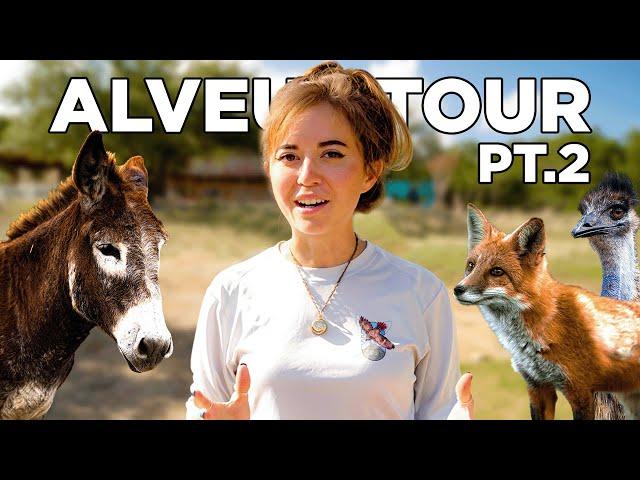 Maya Higa Tours New Animal Sanctuary! (Alveus Tour PT. 2)