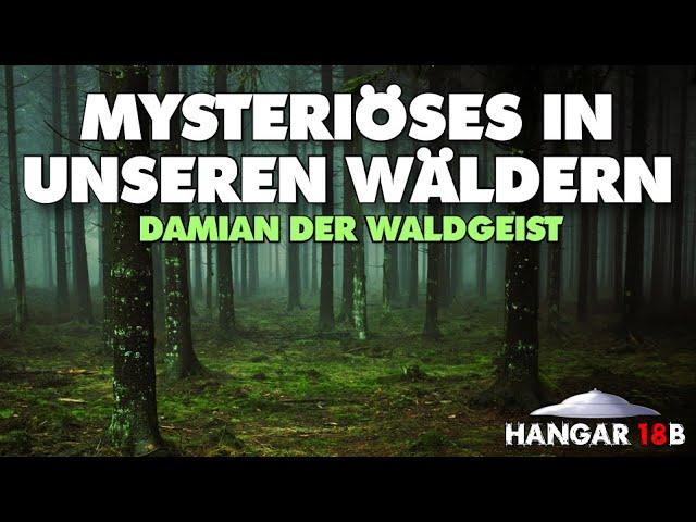  Mysteriöses in unseren Wäldern - Waldgeist 