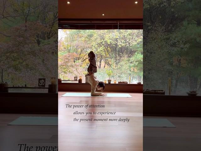 요가에서 집중한다는 것 #요가여신 #요가 #yoga