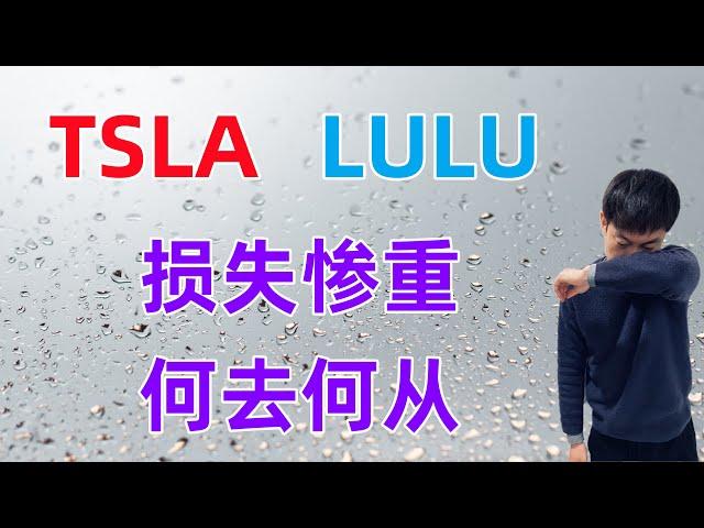 特斯拉、LULU损失惨重！接下来何去何从？