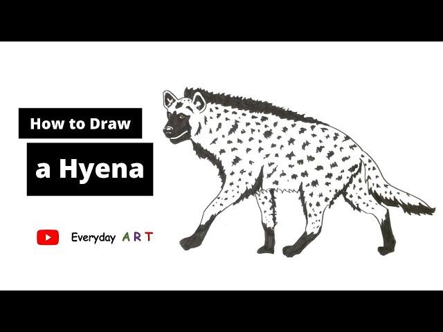 Art 042   How to Draw a Hyena