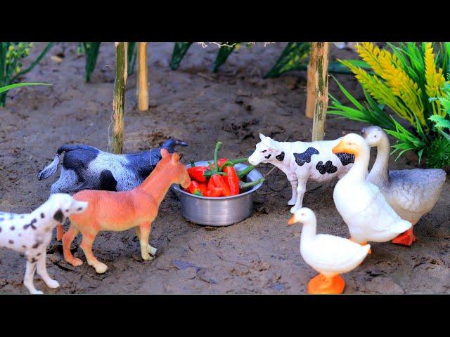 animal video,  matikata, jcb gadi, mini tractor, cartoon video, cattle, tractor | Mar 3, 20257:22 PM