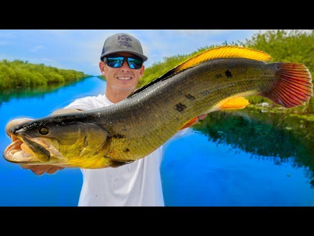 Most ANCIENT Trash Fish in America!  Catch Clean Cook (Mudfish)