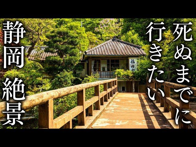 [Izu Odoriko] Seven scenic views of Shizuoka that you want to visit before you die - JAPAN in 8K