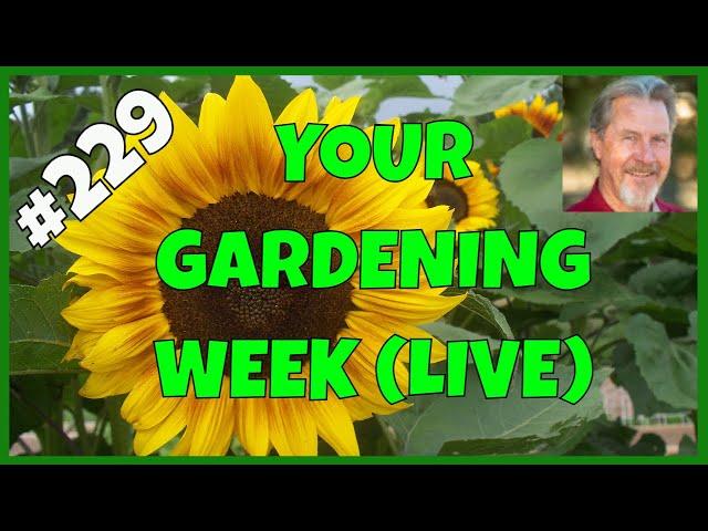 How to Select Garden Seeds (Q&A)