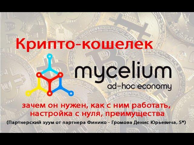 Крипто-кошелек MyCelium: зачем он нужен, как с ним работать, настройка с нуля, преимущества.