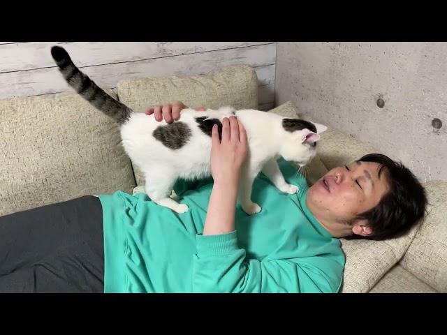 体調不良のオッさんを心配して集まる猫たち