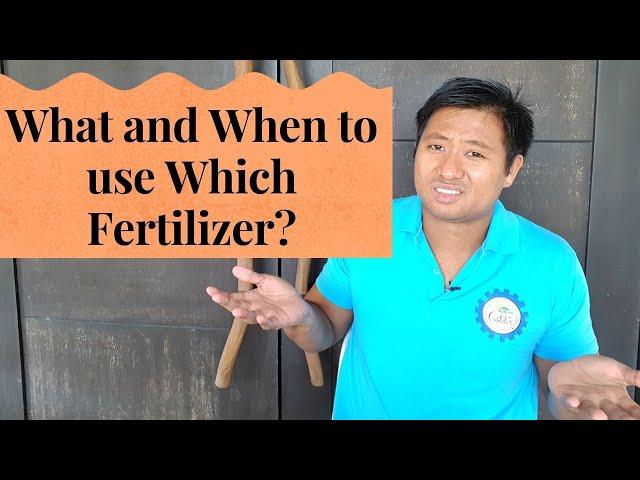 Plant Nutrition: What and When to use Which Fertilizer?(Ano at kailan gagamitn ang aling pataba?)