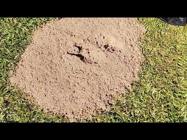 Let Mother Nature Rid Your Yard Of Ants. Chemical Free! Easy DIY