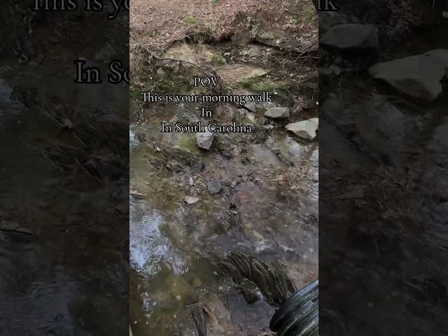 South Carolina ️️