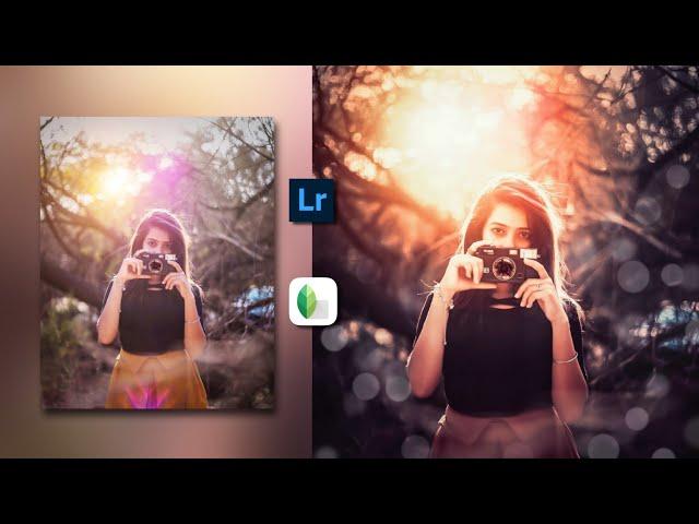 How to Fade Moody Brown Effect || Harshit Edits