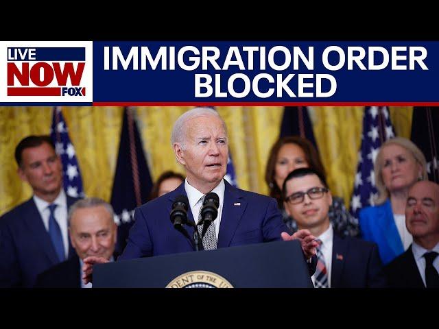 Judge pauses Biden immigration order on undocumented spouses | LiveNOW from FOX